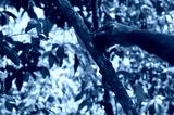 preview cold
