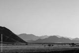 preview bw