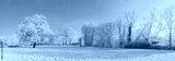 preview cold