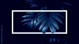 preview cold