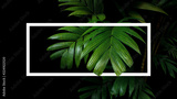 preview original