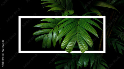 image to crop