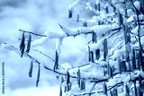 preview cold