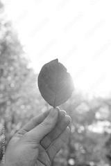preview bw