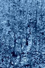 preview cold