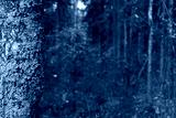 preview cold