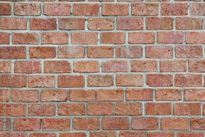image to crop