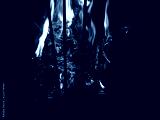 preview cold