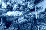 preview cold