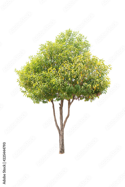 image to crop