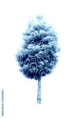 preview cold