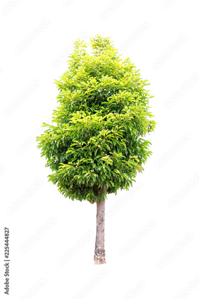 image to crop