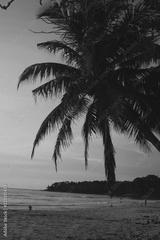 preview bw