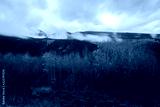preview cold