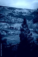 preview cold