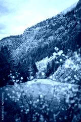 preview cold