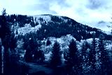 preview cold
