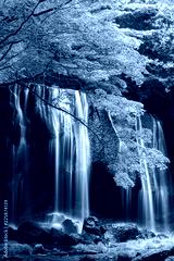 preview cold