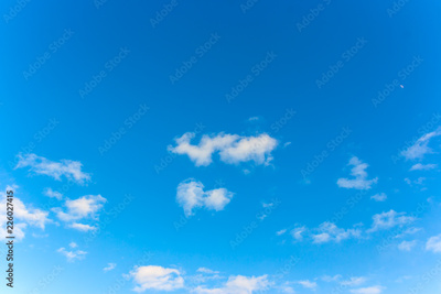 image to crop