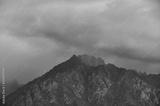 preview bw