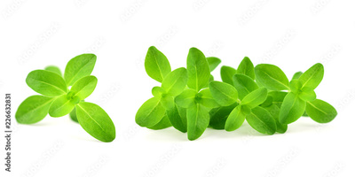 image to crop