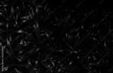 preview bw