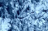 preview cold