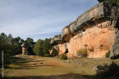 image to crop