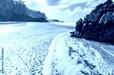 preview cold