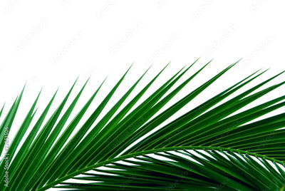 image to crop