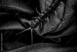 preview bw