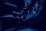 preview cold