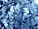preview cold