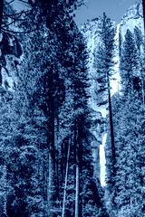 preview cold