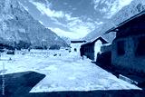 preview cold
