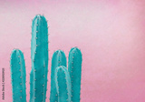 preview original