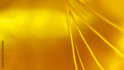 image to crop