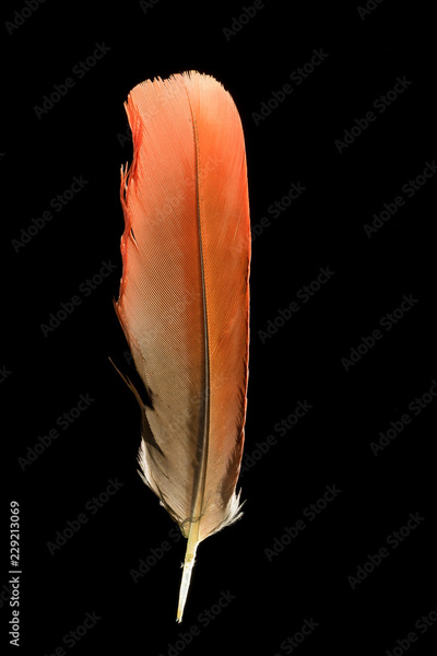 image to crop