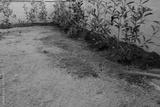 preview bw
