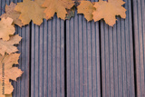 preview original