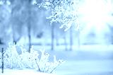 preview cold