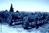 preview cold