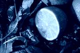 preview cold