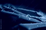 preview cold