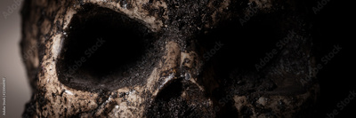image to crop