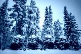 preview cold