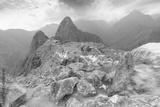 preview bw