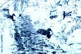 preview cold