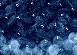 preview cold