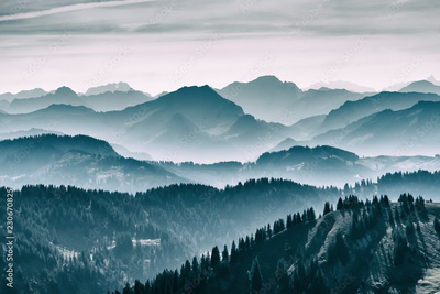 image to crop